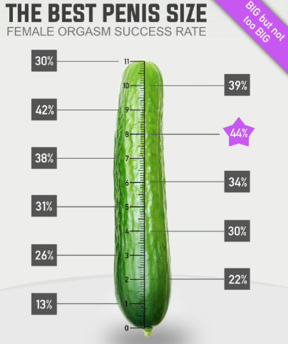 QQ_1771549655817.png